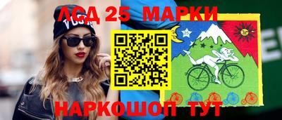 spice Тара