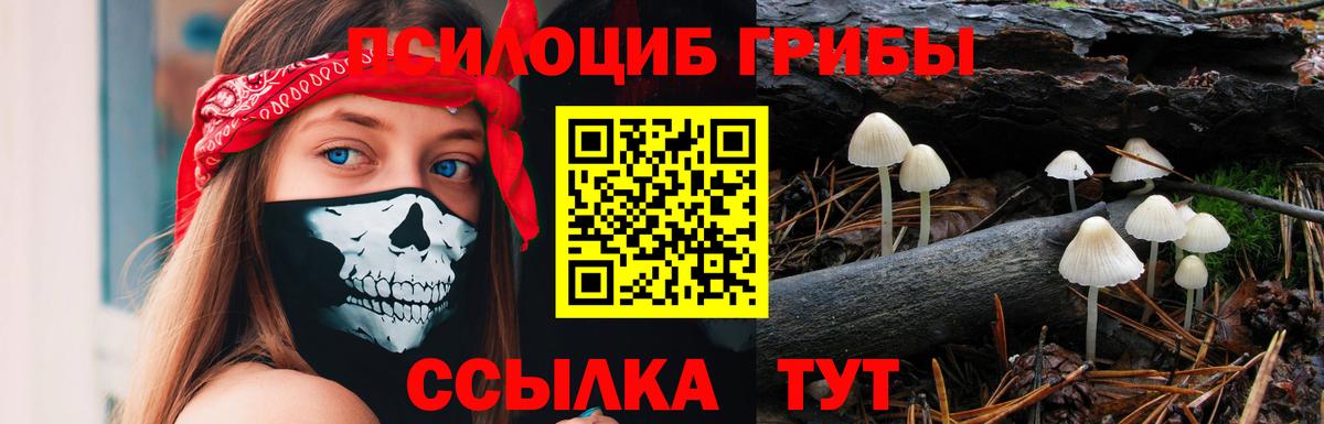 Псилоцибиновые грибы мицелий Азнакаево